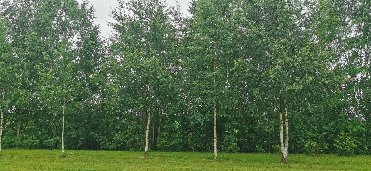 Vila Burzini Kuldīga Exteriér fotografie